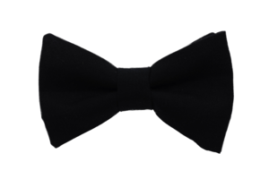 Bow Tie Black