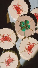 Decorative coasters featuring a variety of nature-inspired motifs, including a bird, a four-leaf clover, and a puffin. The coasters have a scalloped edge design and are sold in a set of 12.