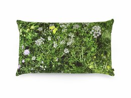 ALPINE ENG - pude fyldt med boghvedeskaller - 50x30 cm