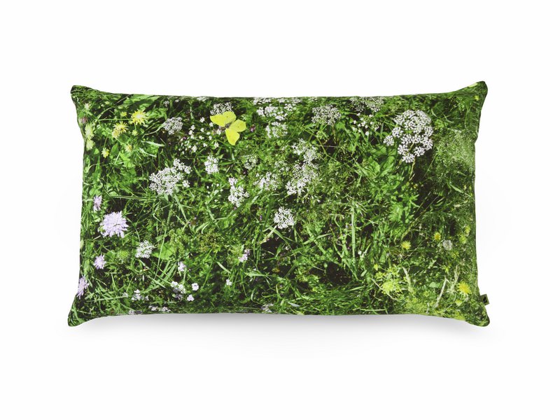 ALPINE ENG - pude fyldt med boghvedeskaller - 50x30 cm