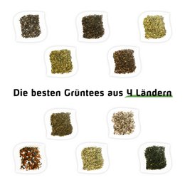 Set de degustación de camisetas - Grüner Tee