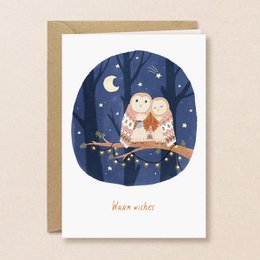"Cozy winter scene with two owls perched on a branch under a starry night sky. The image has a warm, whimsical feel with the owls wearing knitted scarves."