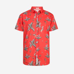 The Bird of Paradise