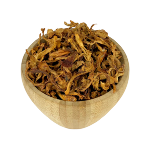 Biologische Cantharel Champignon Bulk
