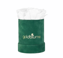 Colección Terciopelo Verde