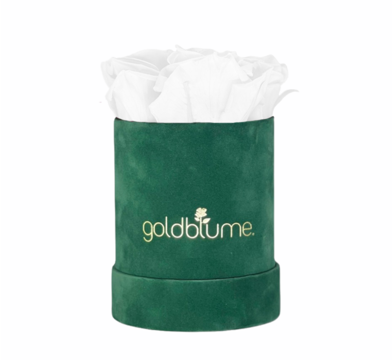 Colección Terciopelo Verde