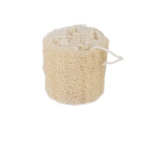 Loofah sponge