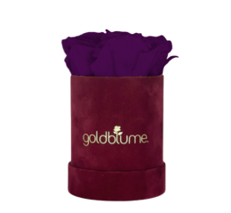 Velvet Bordeaux Collection