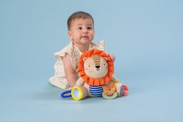 HARRY LION ACTIVITY PUPPE