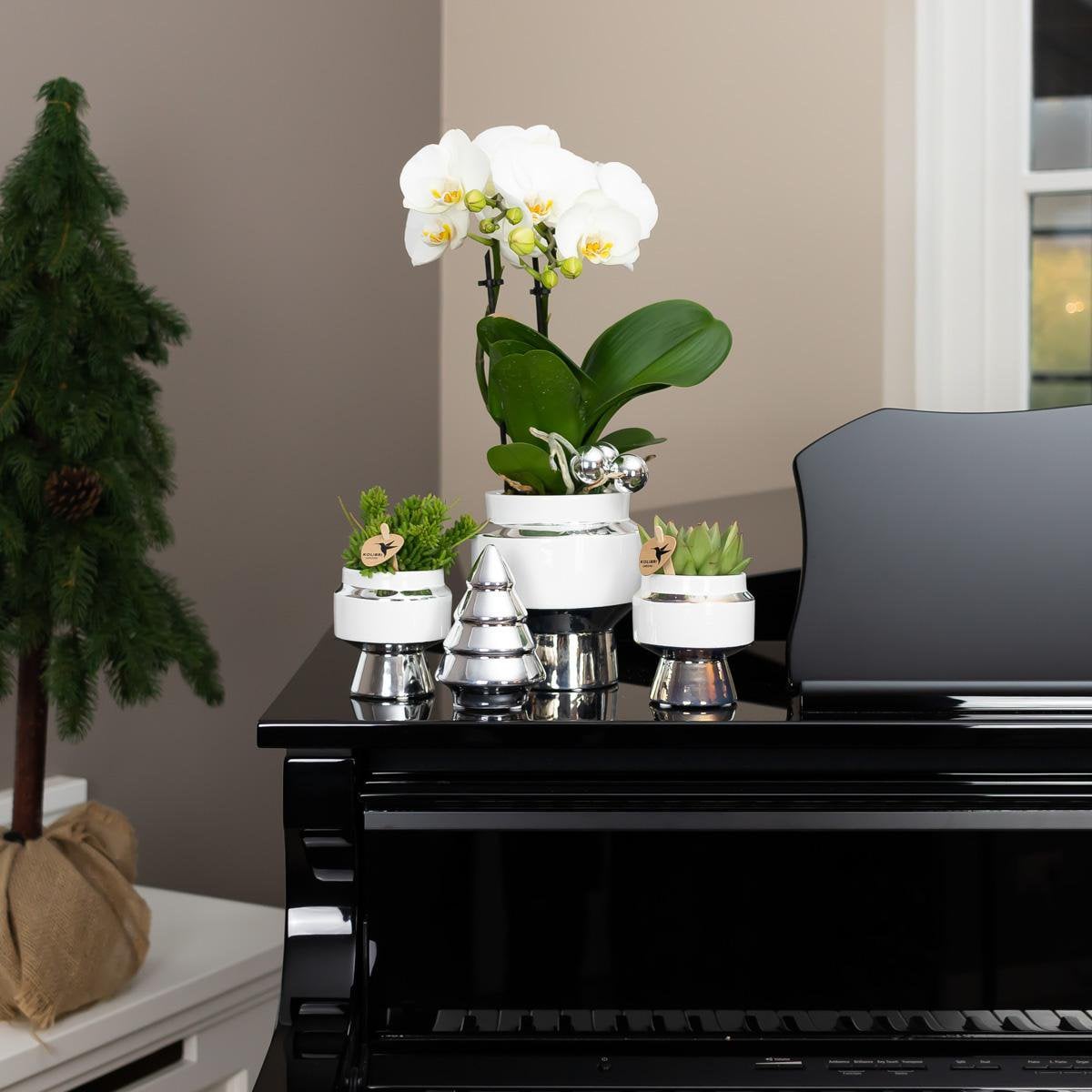 Elegante Witte Keramische Pot met Zilveren Details Ø6cm van Kolibri