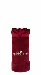 Velvet Bordeaux Collection