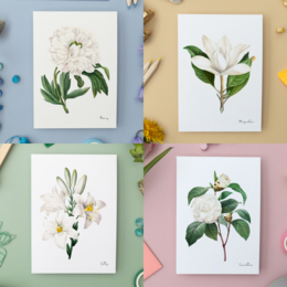 Pack Todos los Colores - Postales Hechas A Mano A6 con Sobre - Botanical Vintage