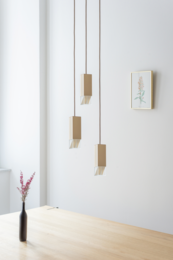 Lamp/One Brass Trio Chandelier