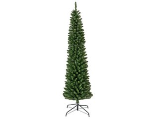 Weihnachtsbaum Bleistiftkiefer H210cm