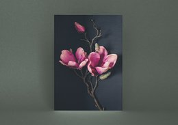 Pocztówka Kartka Z Pozdrowieniami Ciemna Magnolia (PK_062)