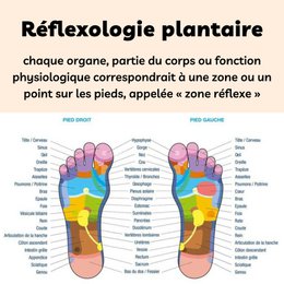 Chaussettes Réflexologie SPA Adoucissantes - Gel Hydratant aux Huiles de Jojoba et Olive, Vitamine E et Lavande - Redonne Douceur et Souplesse aux Pieds – Zone de Massage Réflexologie