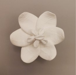 Difusor Jazmín Oriental - Blanco