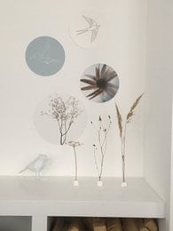 Wall circle hummingbird sea blue