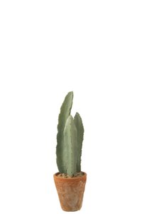 J-Line Cactus 3 Stuks In Pot Plastiek Groen Small