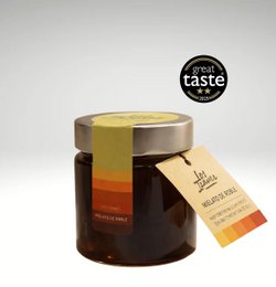  "Oak honey, dark amber glass jar, golden yellow color, premium taste award badge, artisanal label"