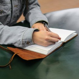 Diario de balas de aprendizaje