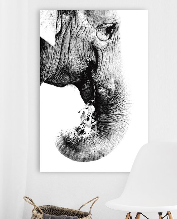 White Elephant