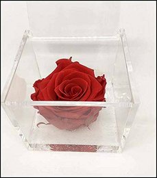 A red rose encased in a clear acrylic cube, a decorative item for Valentine's Day.