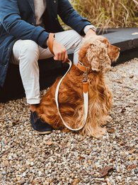 Hundesnor