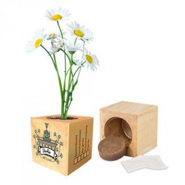 City Love® | Berlin planteterninger forskellige frø