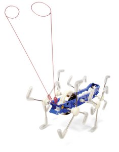 Critter Mxykikker Aufziehen