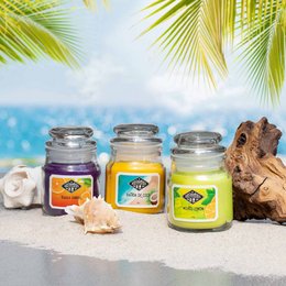  Set of 3 scented candles in beach-themed jars with tropical leaves and seashells. Includes fragrances like coconut, pineapple, and ocean breeze.