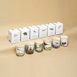 Save the Planet Scented Soy Wax Candle | Soothing Tundra