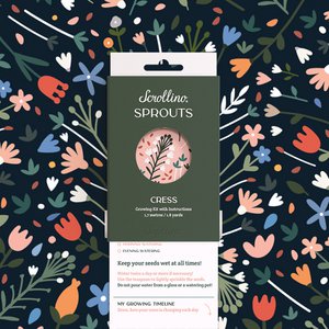 Groeiende kit met activiteiten - Scrollino Cress Sprouts