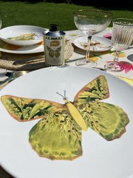 La dolce vita di una farfalla - Piatti Maxi