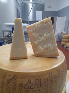 Parmigiano Reggiano DOP - 36 months aged price/pc