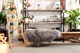 Soft, cozy gray sheepskin throw blanket, approximately 90-110cm in size, made of high-quality Icelandic wool.
