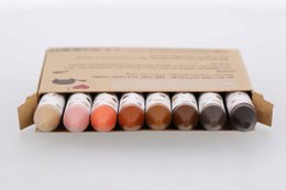 8 Skin Tone Wax Crayons for Kids - Variety of skin tone colors in a box, perfect for coloring and drawing.
