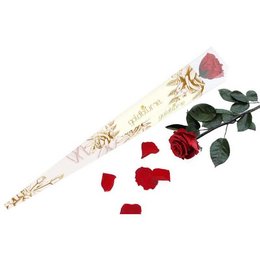 Long-stemmed Sky Rose - Dried Flower Bouquet in various colors including Bridal Pink, Schwarz, Creme, Vibrant Red, Pure White, Ocean Blue, and Baby Blue.