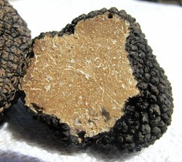 Cream sauce with truffle | 180g