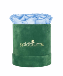 Colección Terciopelo Verde