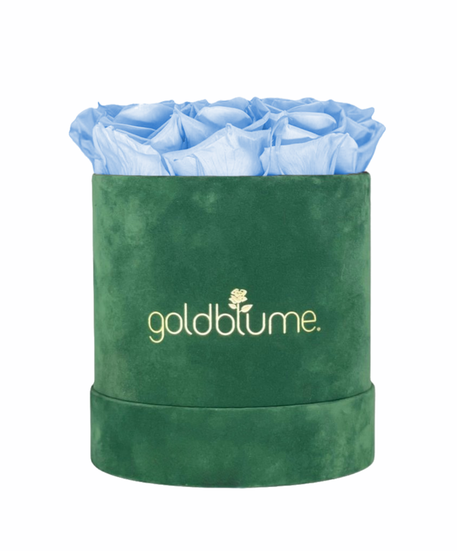 Colección Terciopelo Verde