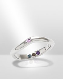 Pre-Set Hidden Inner Strength Ring Silver Polished