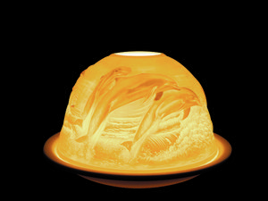 Dome Lights Delfine