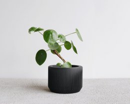 PRAHA indendørs plantekasse