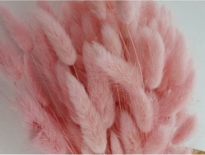 Lagurus Dalio zachtroze 100 gr