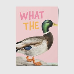  A6 postcard featuring a vibrant image of a duck with the text "WHAT THE" printed in bold, colorful letters. The postcard has a simple, minimalist design with a pink background, making it a visually appealing and eye-catching product.
