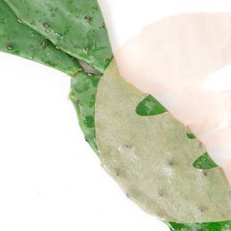Maschera Cactus Rosa ORGLAMIC™