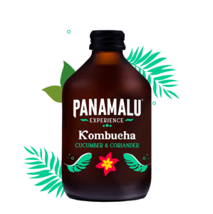 CUCUMBER-CORIANDER KOMBUCHA (BOX DA 8 BOTTIGLIE 315ml)