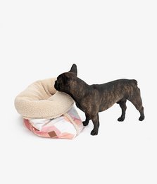 A cozy, plush pet basket in a canvas or teddy fur material, available in medium (60*75*15 cm) and small (50*50*8 cm) sizes, providing a comfortable and stylish resting spot for your furry friend.