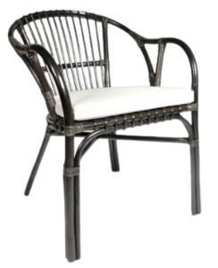 DIANA fauteuil met kussen